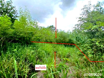 ขายที่ดิน : ที่ดินว่างเปล่า 238 ตร.วา วังม่วง สระบุรี 418,000