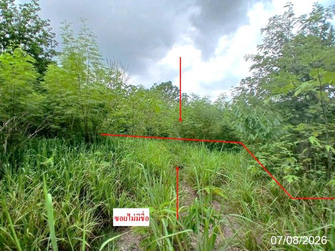รูป ที่ดินว่างเปล่า 238 ตร.วา วังม่วง สระบุรี 418,000 - รูปที่ 1/11