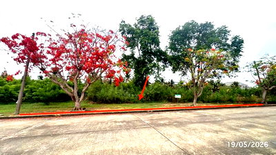 Land for sale Nakhon Chai Sri Nakhon Pathom : LAND 225 Sq.w. Nakhon Chai Sri Nakhon Pathom for 3.3M