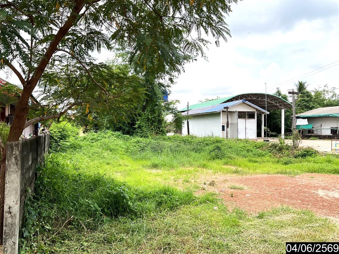รูป ที่ดินว่างเปล่า 114 ตร.วา เมืองบึงกาฬ บึงกาฬ 673,000 - รูปที่ 14/21