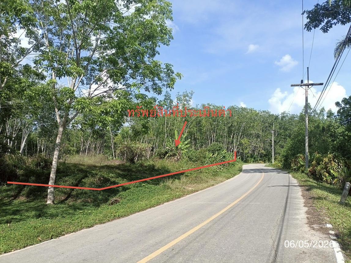 รูป ที่ดินว่างเปล่า 3226.4 ตร.วา ห้วยยอด ตรัง 2.4M - รูปที่ 10/19