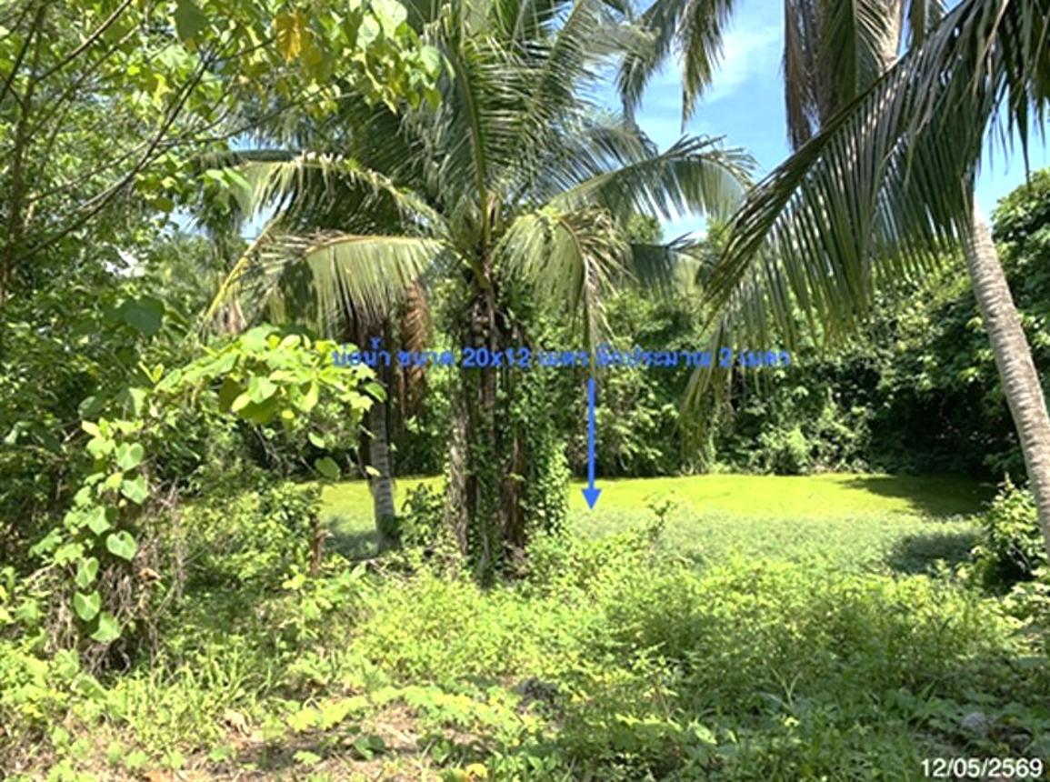 รูป บ้านเดี่ยว 1374.9 ตร.วา เมืองสตูล สตูล 6.2M - รูปที่ 16/21