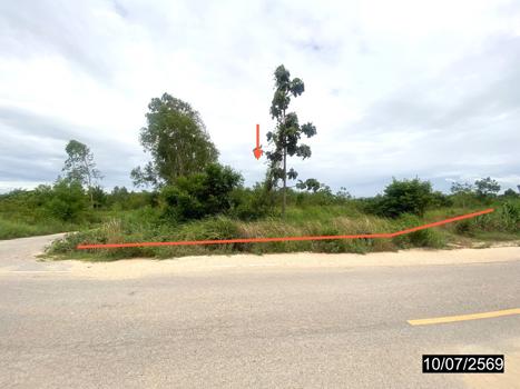 picture LAND 12067 Sq.w. Kut Chap Udon Thani for 4.5M - 18/21