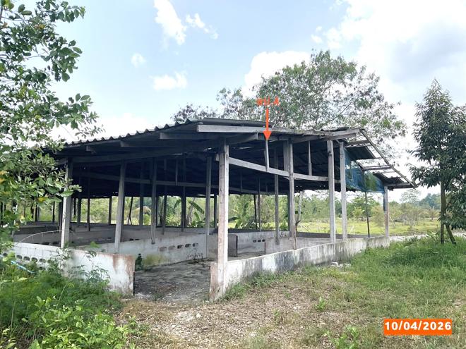 รูป ฟาร์ม 3649 ตร.วา เฉลิมพระเกียรติ นครศรีธรรมราช 8.1M - รูปที่ 13/37