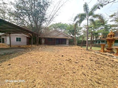รูป บ้านเดี่ยว 800 ตร.วา สันกำแพง เชียงใหม่ 4.9M - รูปที่ 64/67