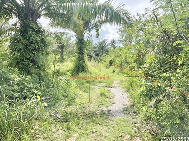 รูป ที่ดินว่างเปล่า 8152 ตร.วา บางสะพาน ประจวบคีรีขันธ์ 13.9M - รูปที่ 8/23