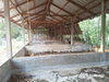 listing thumbnail image 21