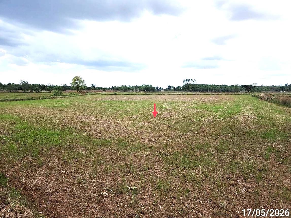 picture LAND 1522.1 Sq.w. Kosum Phisai Maha Sarakham for 419,000 - 19/25