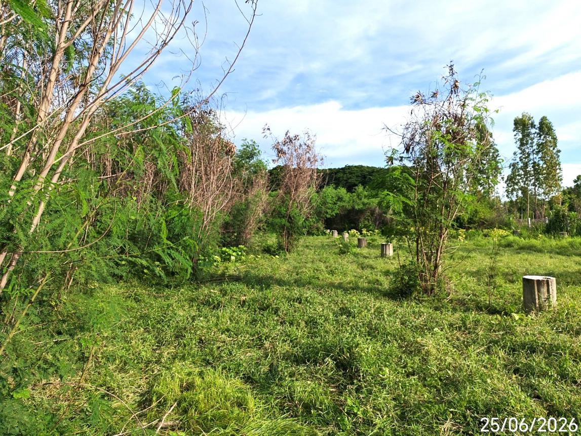 picture LAND 2176.6 Sq.w. Aranyaprathet Srakaeo for 6.1M - 13/19