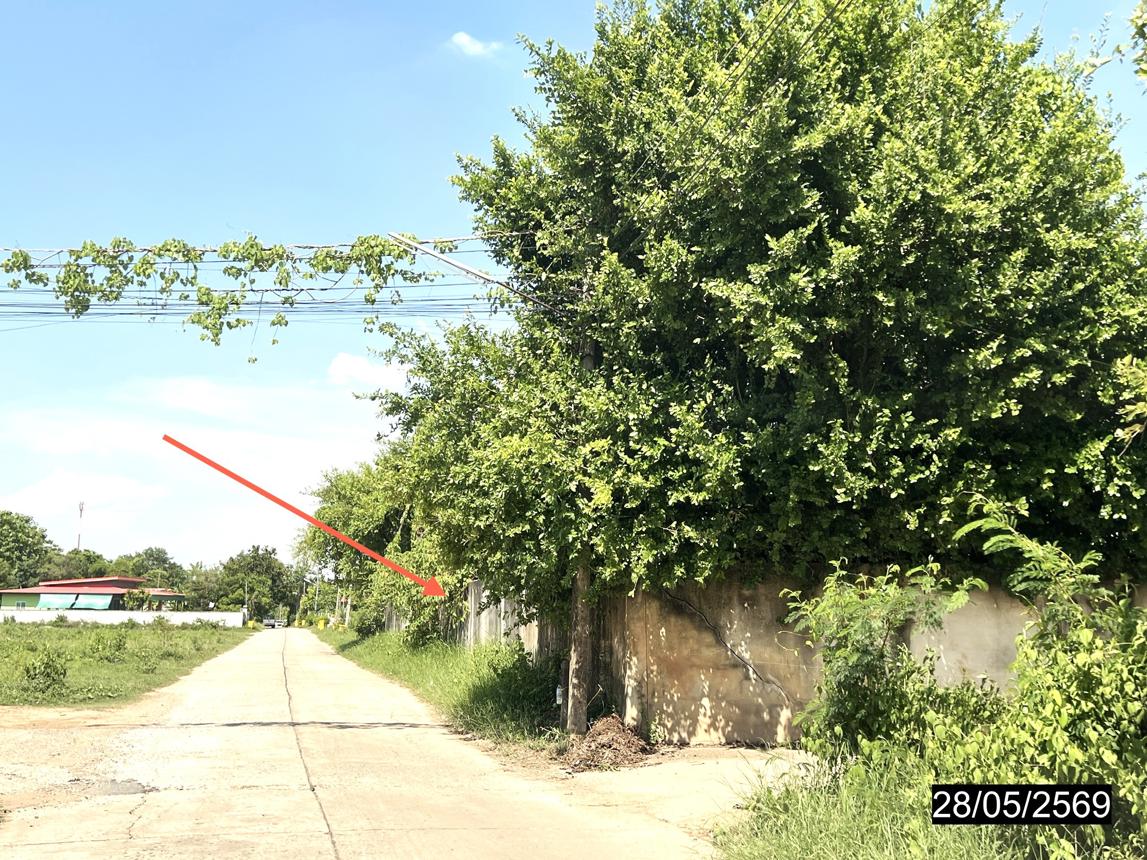 รูป ที่ดินว่างเปล่า 1085 ตร.วา ห้วยเม็ก กาฬสินธุ์ 3.6M - รูปที่ 13/17