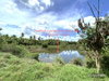 listing thumbnail image 29