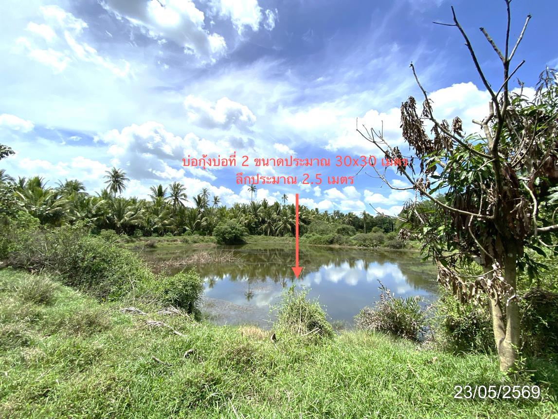 picture HOME 6467.9 Sq.w. Thepha Songkhla for 4.6M - 30/35