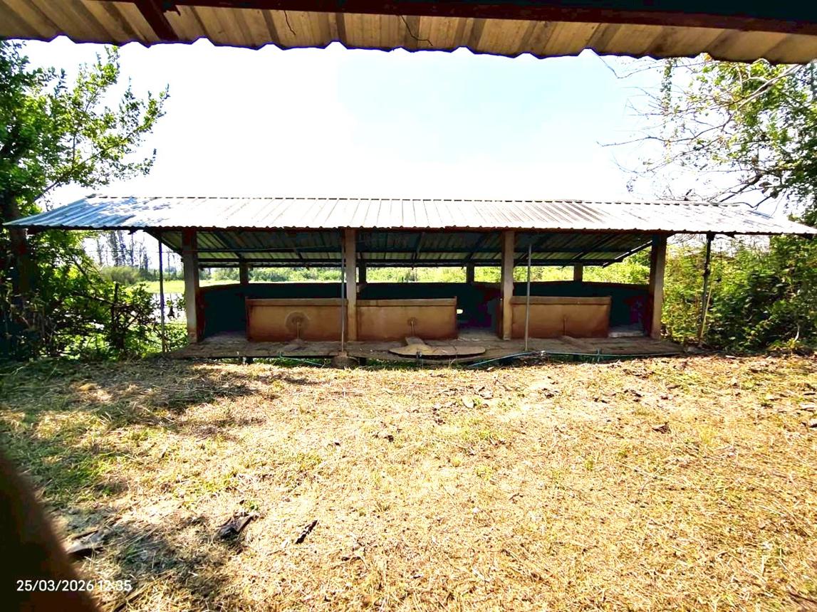 รูป โกดัง 8576 ตร.วา พาน เชียงราย 7.7M - รูปที่ 33/43