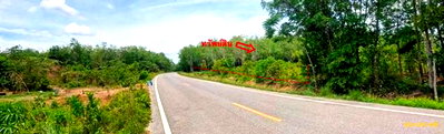 ขายที่ดิน : สวนเกษตร 1539 ตร.วา แม่ลาน ปัตตานี 1.4M