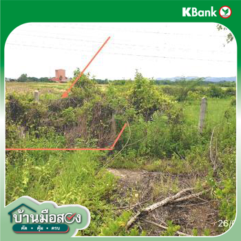 รูป ที่ดินว่างเปล่า 115 ตร.วา จันทิมา เมืองลำปาง ลำปาง 403,000 - รูปที่ 13/15