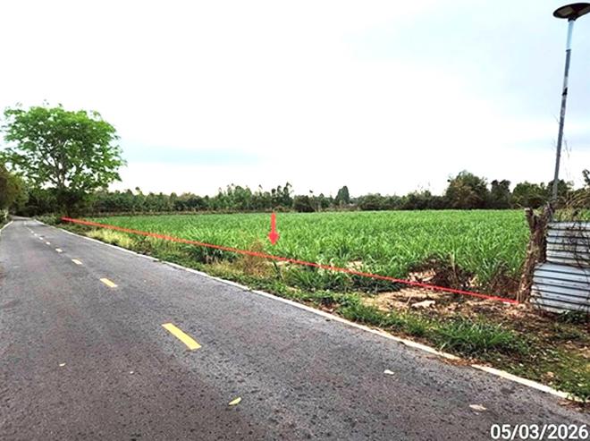 picture LAND 5154 Sq.w. Phon Thong Roi Et for 3.9M - 2/19