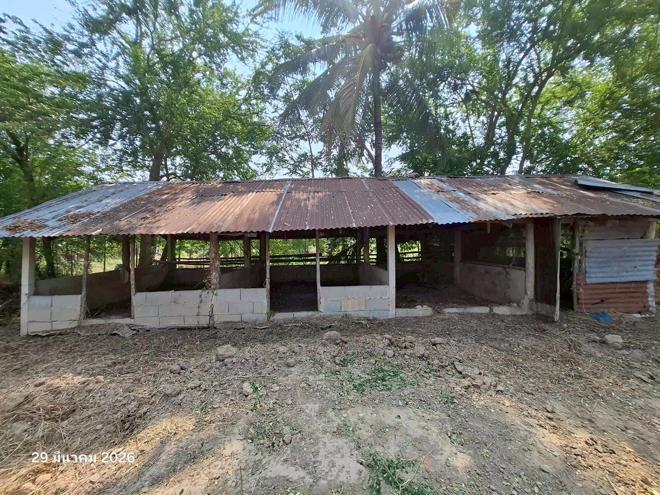 รูป บ้านเดี่ยว 6918 ตร.วา บึงสามัคคี กำแพงเพชร 11.1M - รูปที่ 50/107