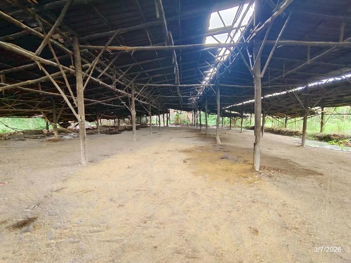 รูป โกดัง 1145 ตร.วา เมืองขอนแก่น ขอนแก่น 3.8M - รูปที่ 36/43