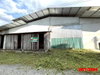 listing thumbnail image 16