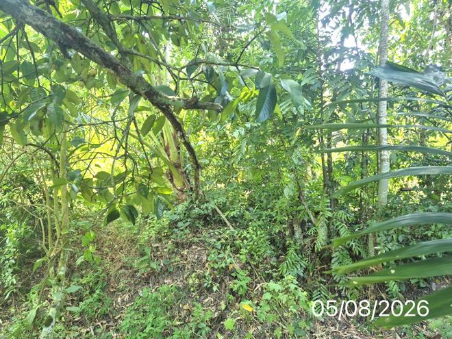 รูป บ้านเดี่ยว 137 ตร.วา ร่อนพิบูลย์ นครศรีธรรมราช 1M - รูปที่ 10/25