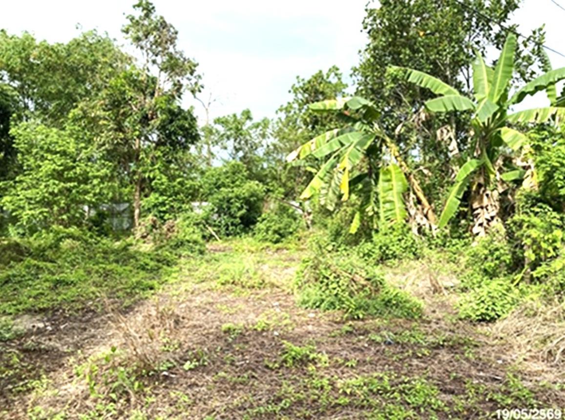 รูป ที่ดินว่างเปล่า 361.9 ตร.วา จะนะ สงขลา 1.5M - รูปที่ 16/25