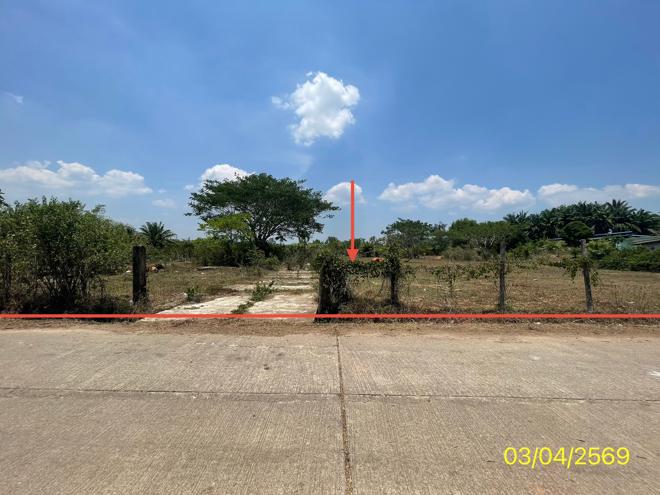 picture LAND 179.2 Sq.w. Kantrang Trang for 1.5M - 4/25