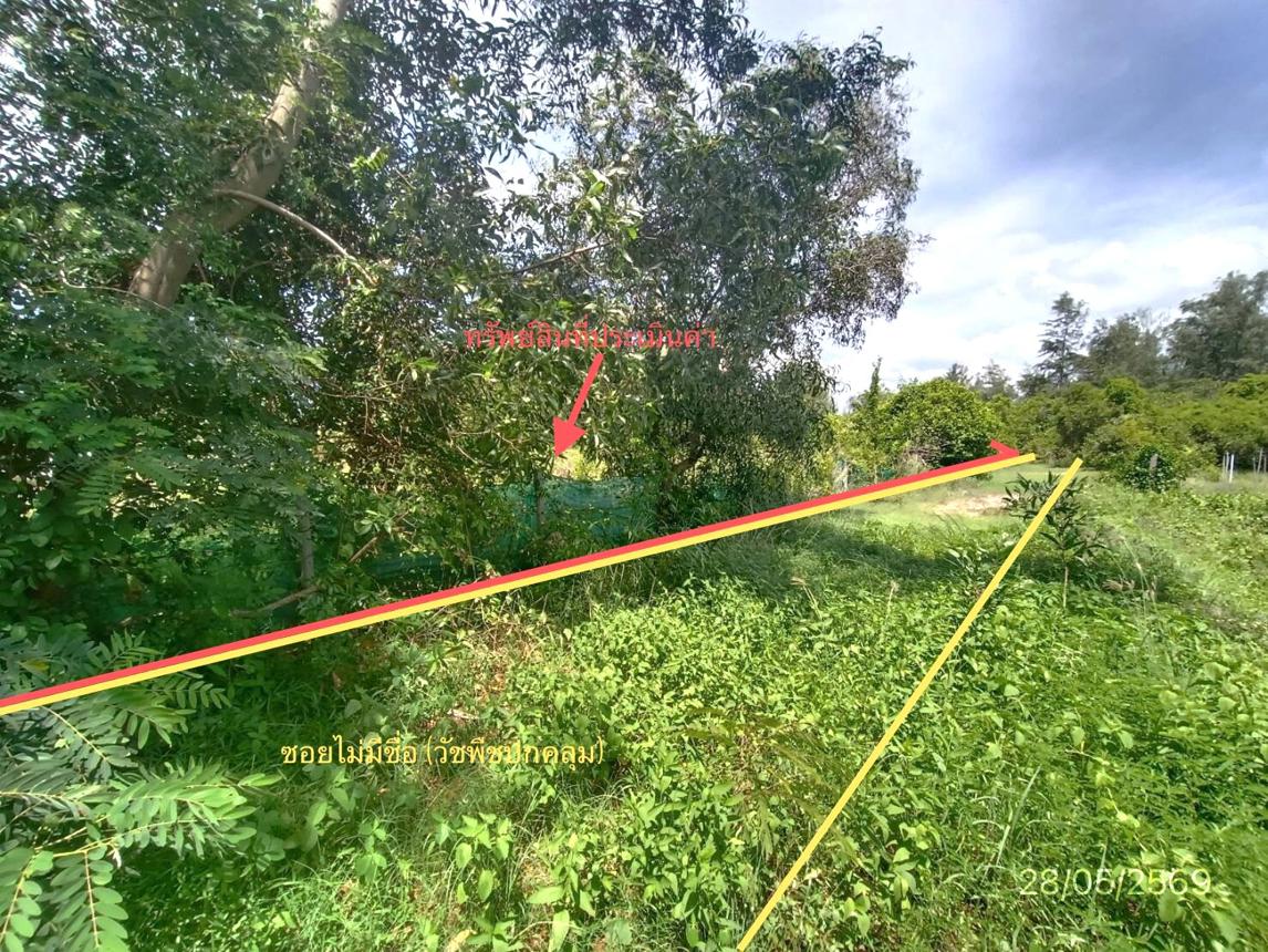 รูป ที่ดินว่างเปล่า 291.3 ตร.วา สทิงพระ สงขลา 826,000 - รูปที่ 20/25