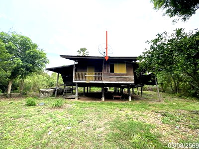 Houses for sale Chainat : HOME 765 Sq.w. Noen Kham Chainat for 524,000