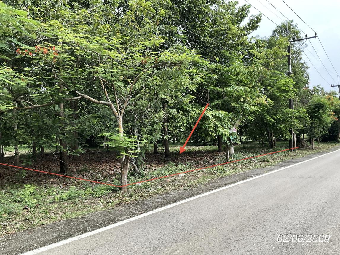 picture LAND 168.8 Sq.w. Na Di Prachinburi for 902,000 - 11/19