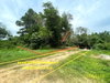 listing thumbnail image 11