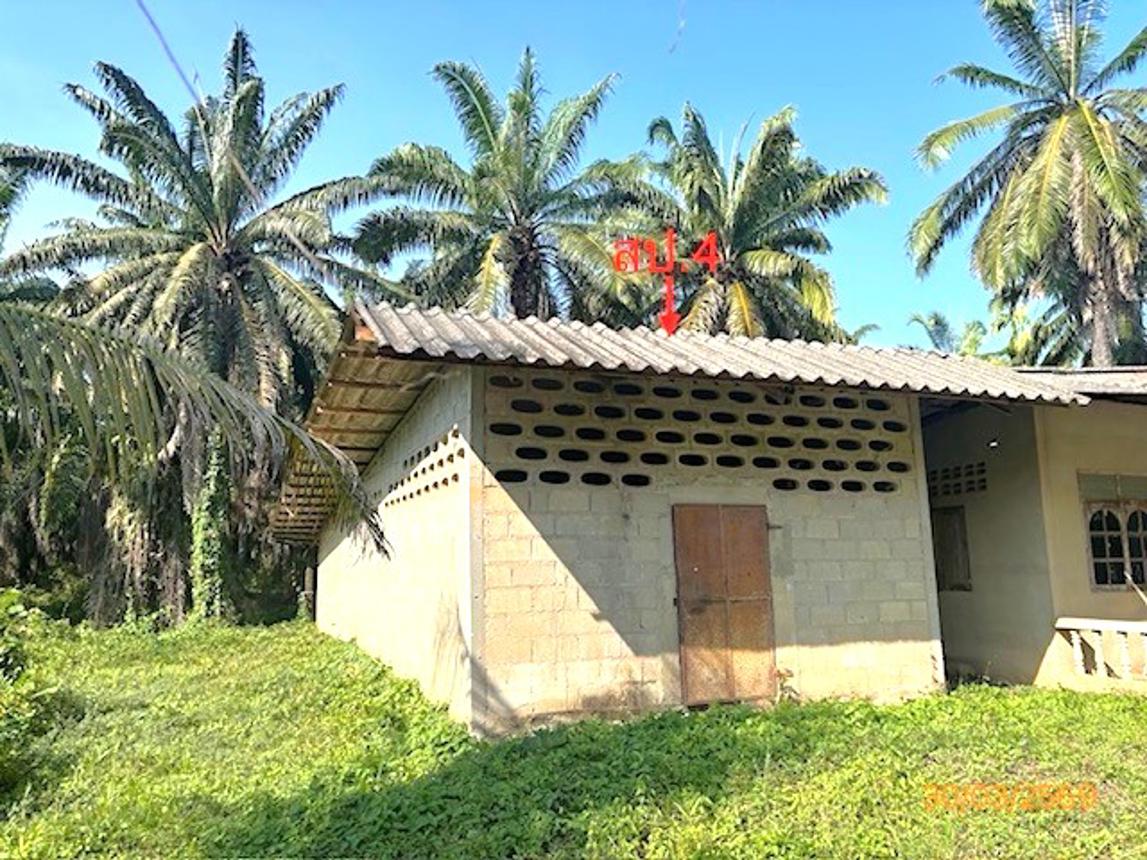 picture HOME 4176 Sq.w. Prasaeng Surat Thani for 3.7M - 47/55