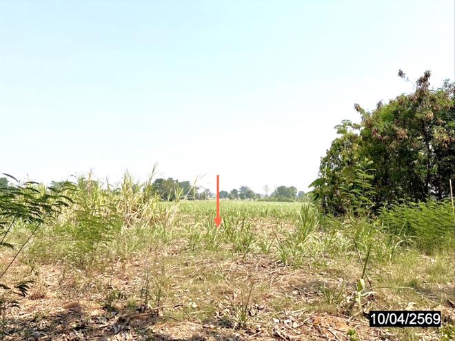 รูป ที่ดินว่างเปล่า 10632 ตร.วา แก้งคร้อ ชัยภูมิ 3.7M - รูปที่ 7/19