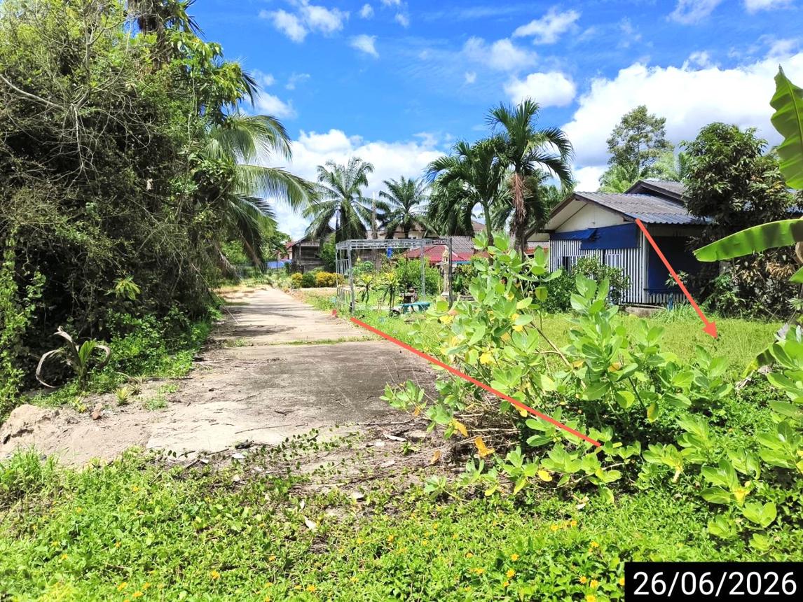 picture LAND 67 Sq.w. Chaiya Surat Thani for 359,000 - 9/15