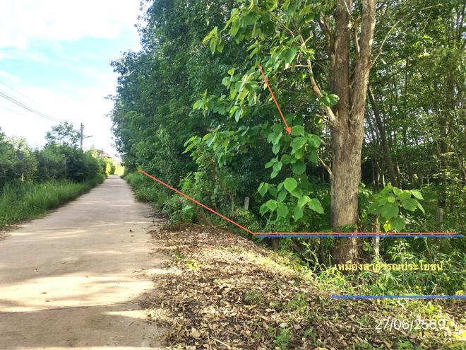 รูป ที่ดินว่างเปล่า 1070 ตร.วา ภูซาง พะเยา 2M - รูปที่ 4/23