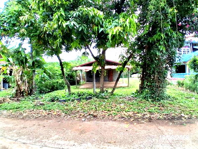 บ้านเดี่ยว ร้อยเอ็ด : บ้านเดี่ยว 195 ตร.วา เชียงขวัญ ร้อยเอ็ด 523,000