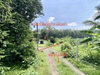 listing thumbnail image 30