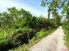 listing thumbnail image 3