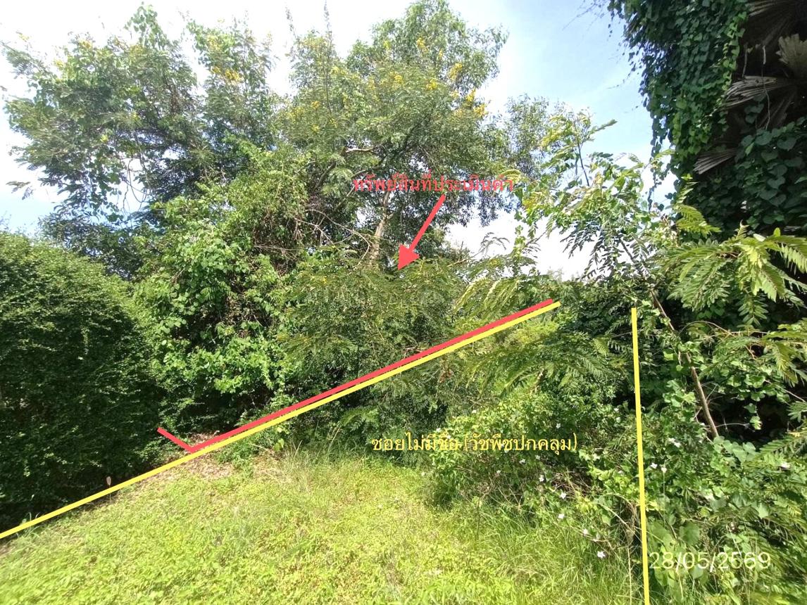 รูป ที่ดินว่างเปล่า 291.3 ตร.วา สทิงพระ สงขลา 826,000 - รูปที่ 19/25