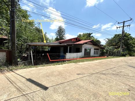 รูป บ้านเดี่ยว 38 ตร.วา เมืองยโสธร ยโสธร 527,000 - รูปที่ 22/25
