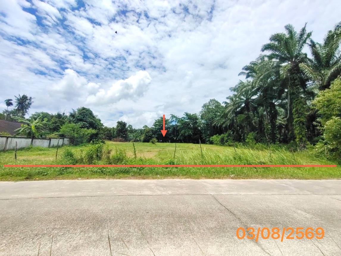 picture LAND 235.5 Sq.w. Nua Khlong Krabi for 2.6M - 8/17