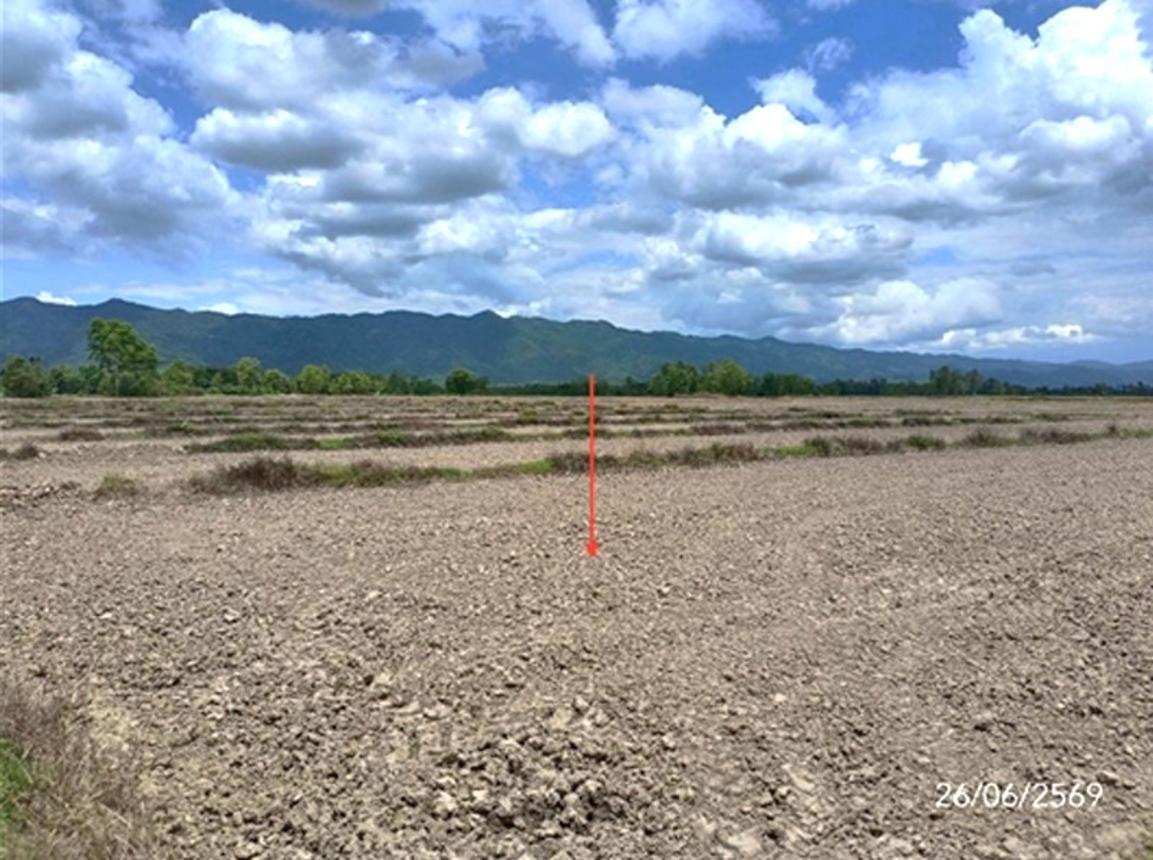 รูป ที่ดินว่างเปล่า 5578 ตร.วา ดอกคำใต้ พะเยา 2.5M - รูปที่ 11/17
