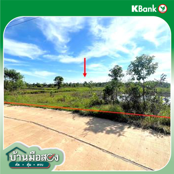 picture LAND 6771 Sq.w. Renu Nakhon Nakhon Phanom for 2.7M - 15/17