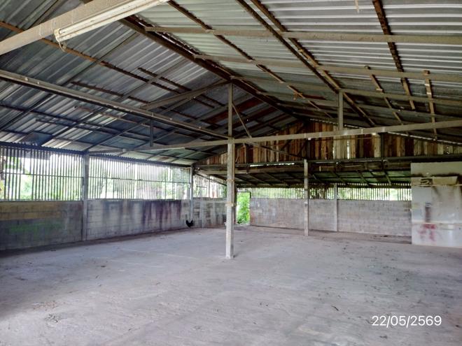 รูป บ้านเดี่ยว 105 ตร.วา แม่จัน เชียงราย 1.1M - รูปที่ 7/21