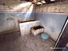listing thumbnail image 32