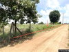 listing thumbnail image 11