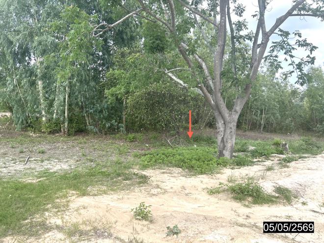 รูป ที่ดินว่างเปล่า 560.5 ตร.วา กุฉินารายณ์ กาฬสินธุ์ 749,000 - รูปที่ 5/15