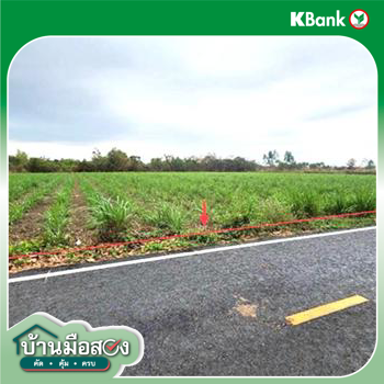 picture LAND 5154 Sq.w. Phon Thong Roi Et for 3.9M - 17/19