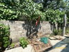 listing thumbnail image 33