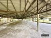 listing thumbnail image 35