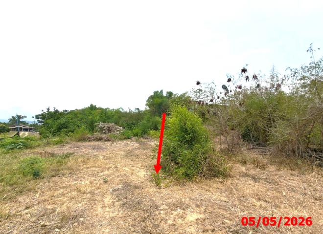 รูป ที่ดินว่างเปล่า 499 ตร.วา แม่ทะ ลำปาง 914,000 - รูปที่ 2/19